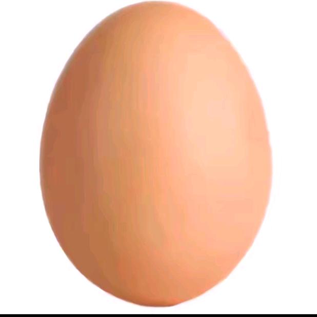蛋