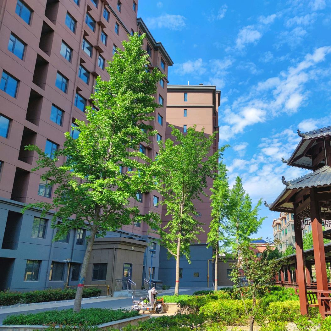 运城·城市花园