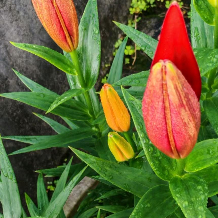 美美哒∽今天别累着自己哈