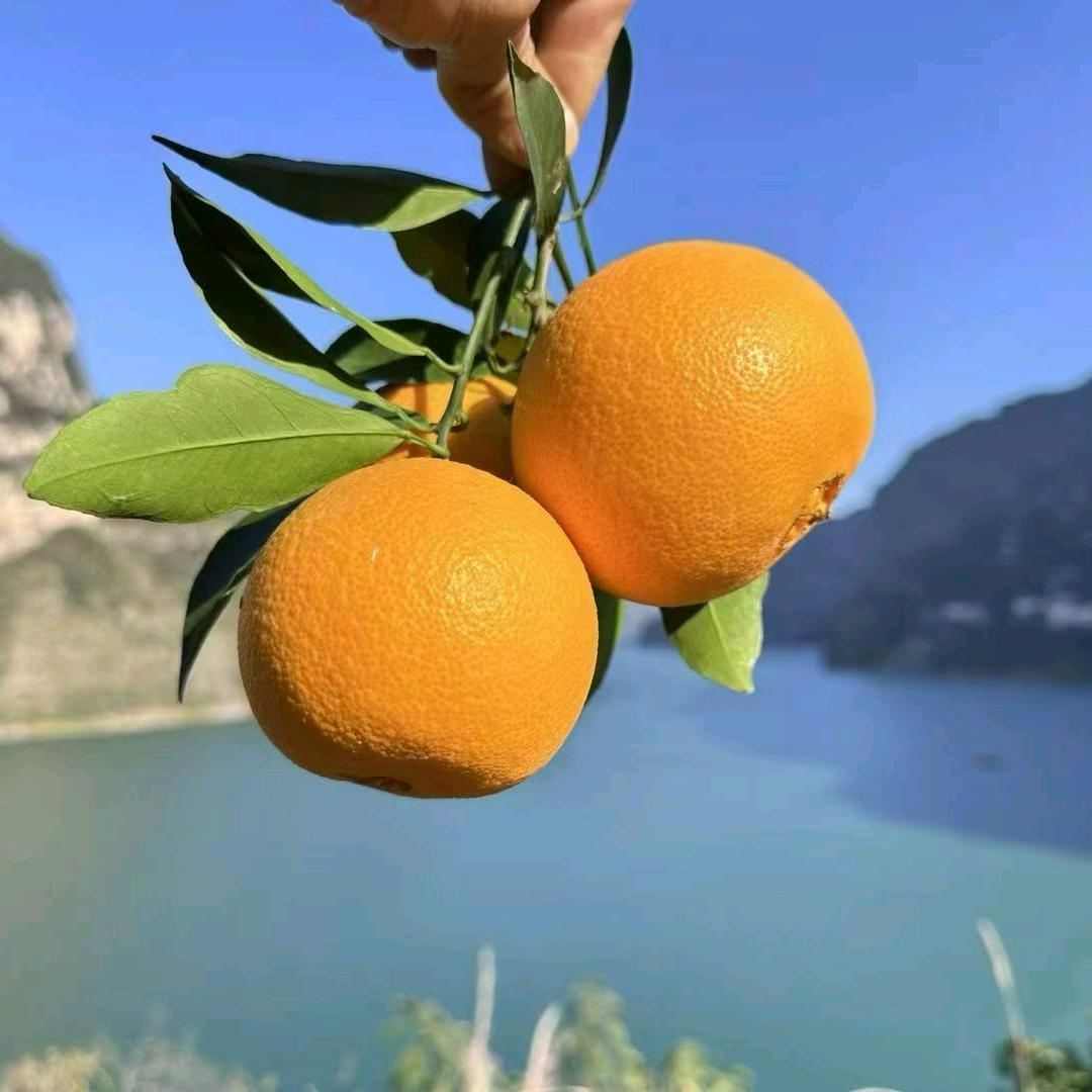 不榨汁的充电器