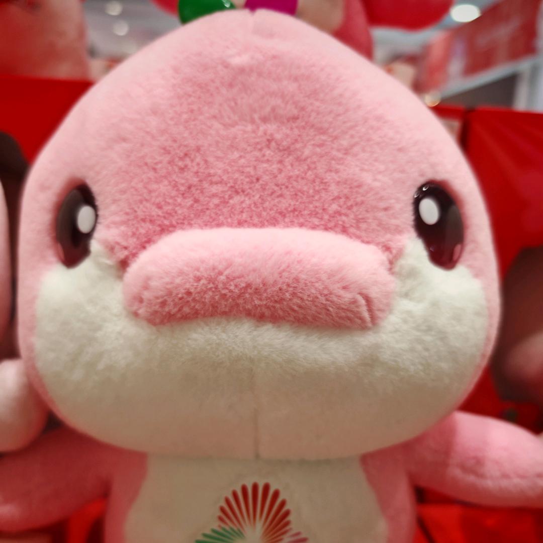 天喵星
