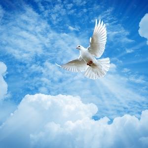 这-个、秊代🕊