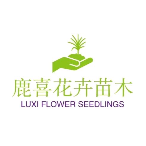 鹿喜果树苗木专营店