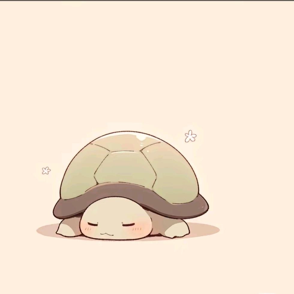 许愿缸的小乌龟