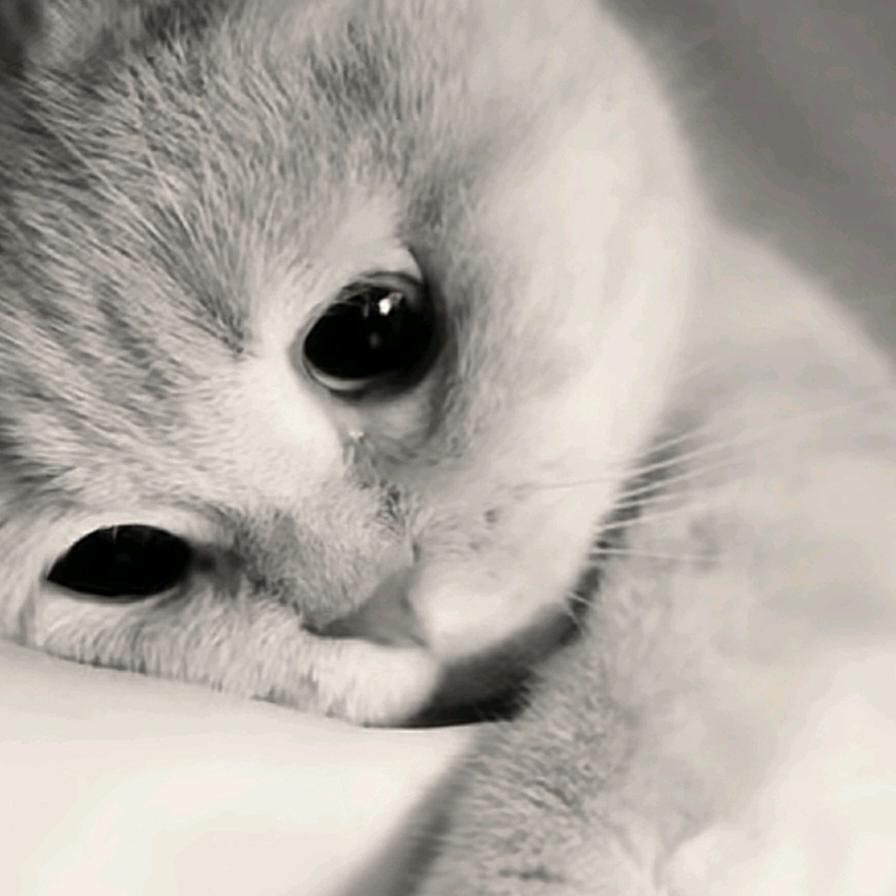 六六💞
