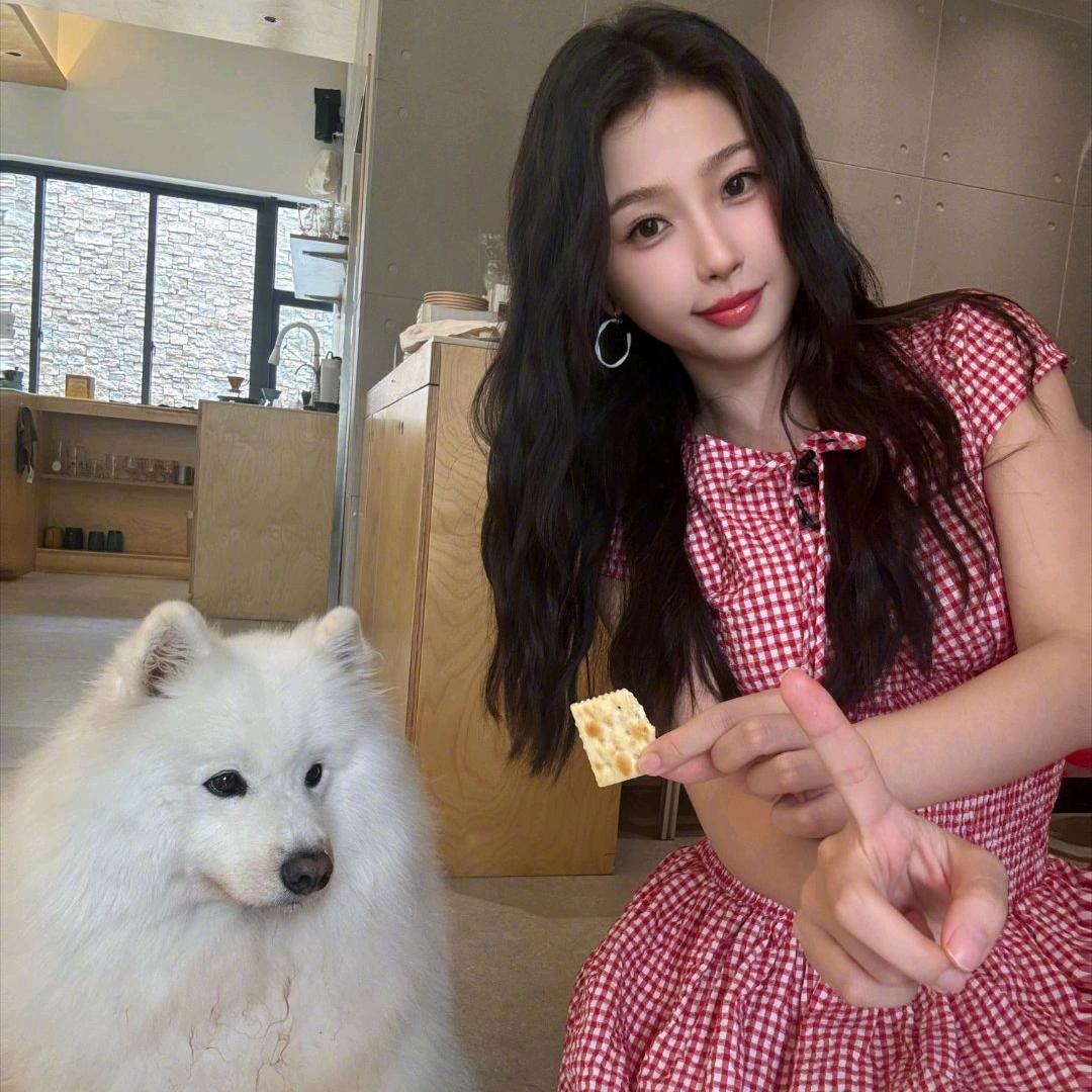 今天吃什么肉丸