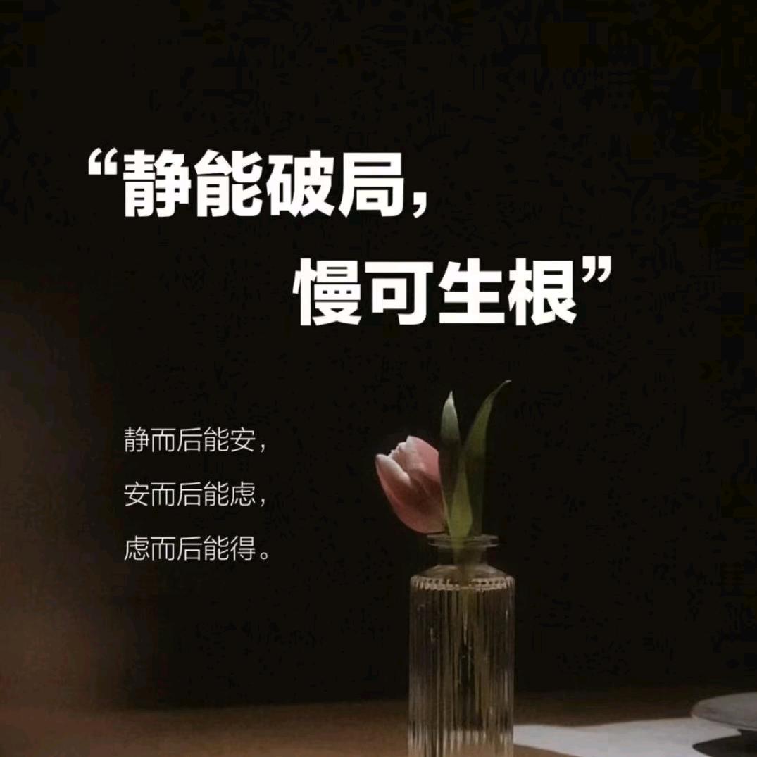 罗小罗