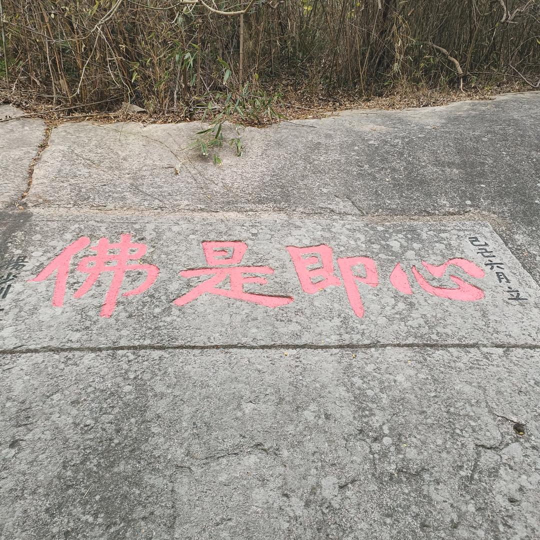 余生随心