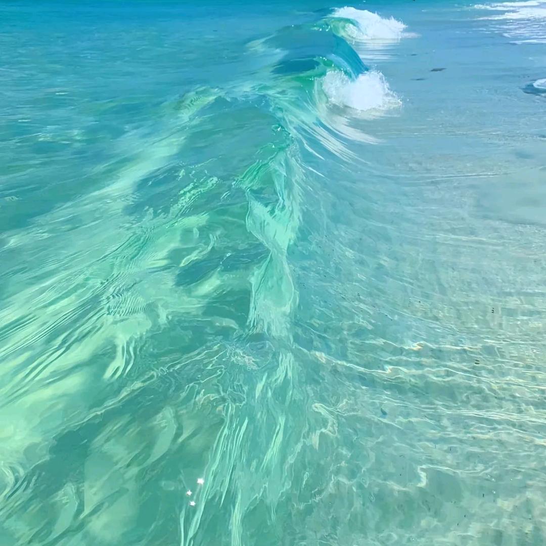 𝙁𝙤𝙧𝙚𝙫𝙚𝙧.D