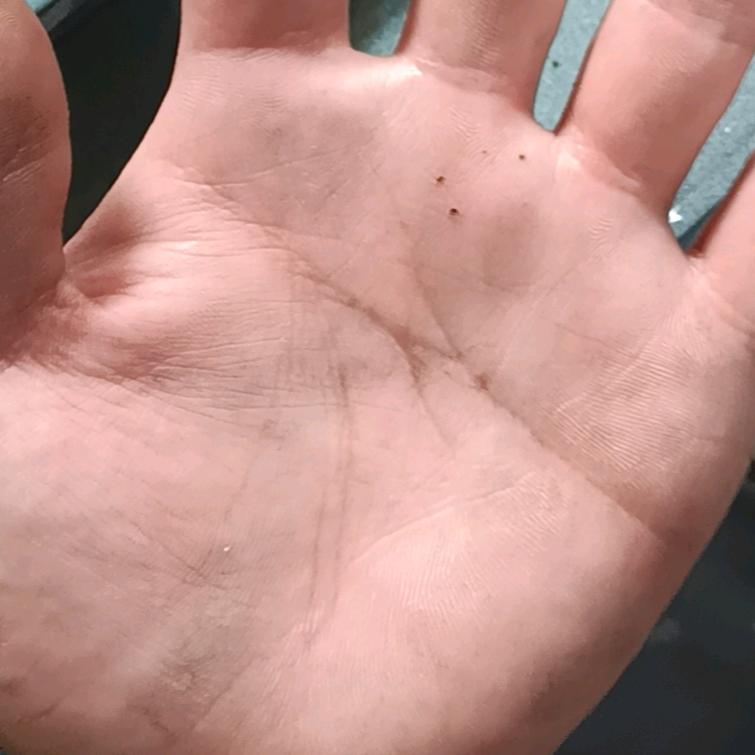 无话不说到无话可说