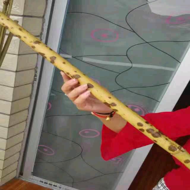 守竹人