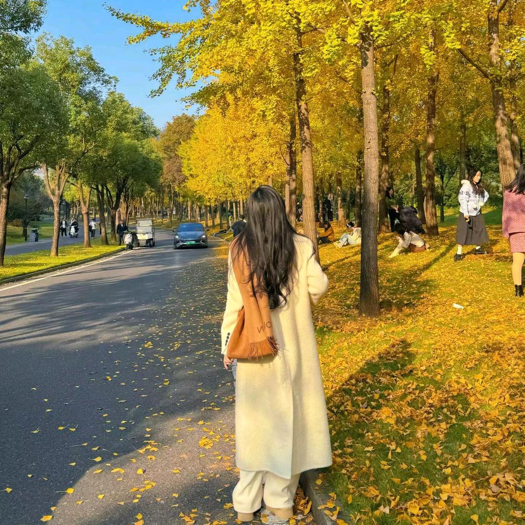 谢谢你来了图老师