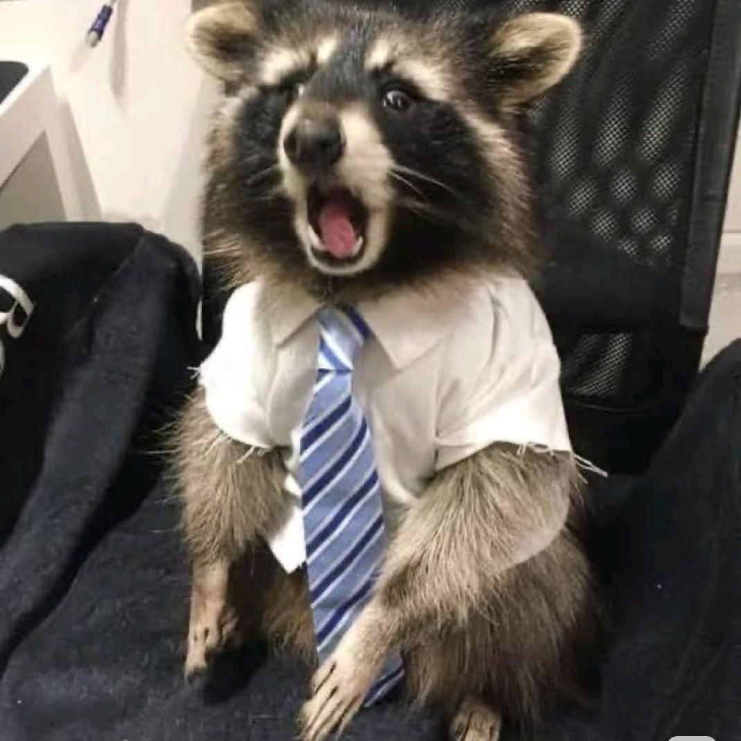 臭臭驴