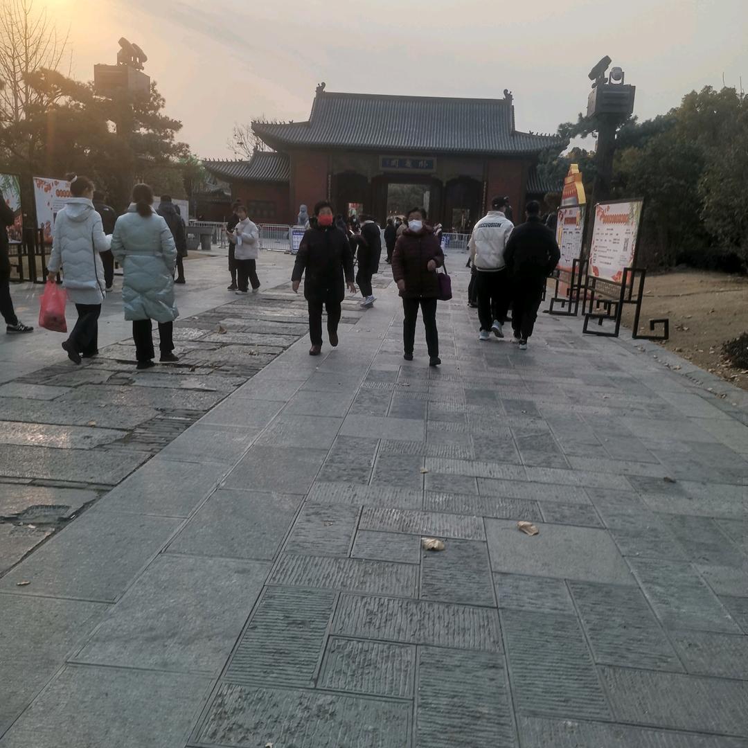 阿雷