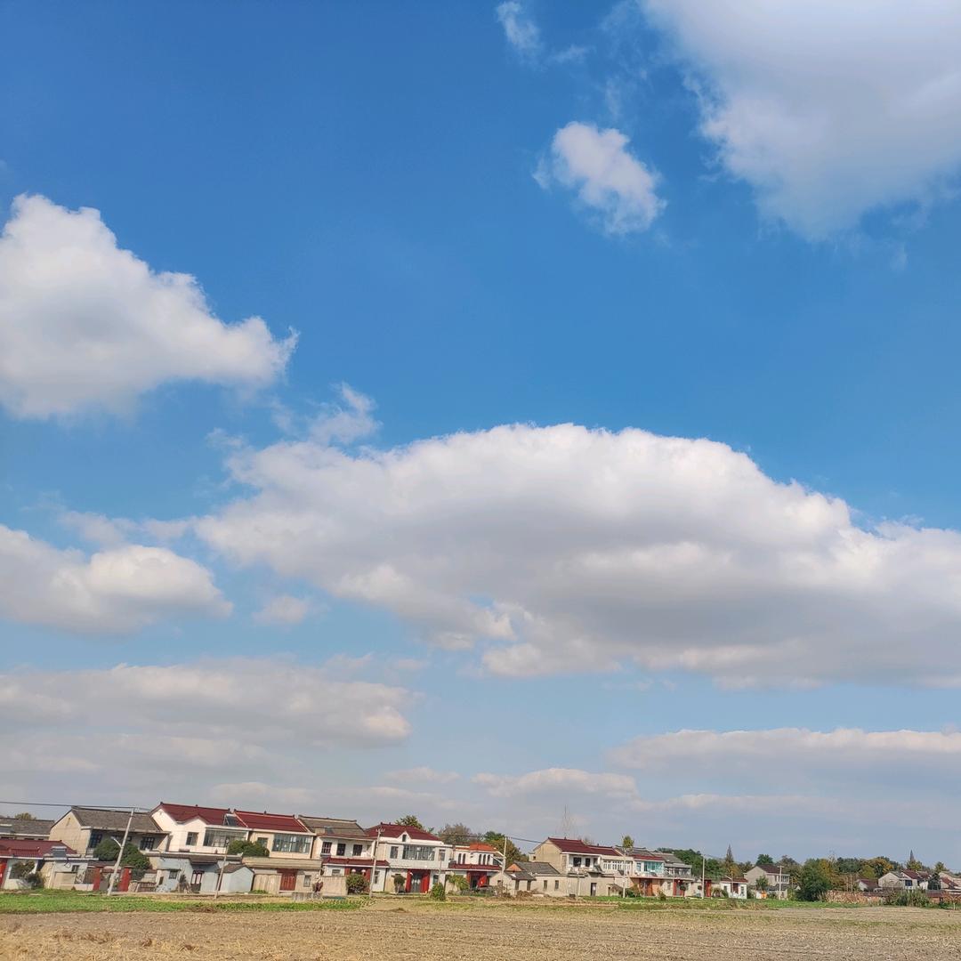 小鸟在前面带路