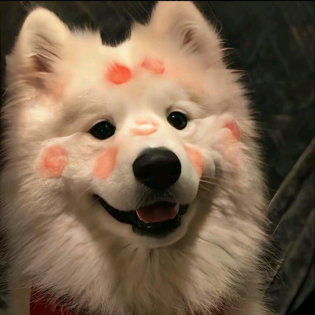 宇宙无敌霹雳蓝色霸王龙