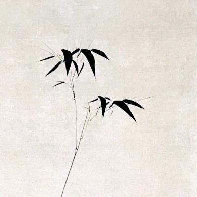 龍東居士
