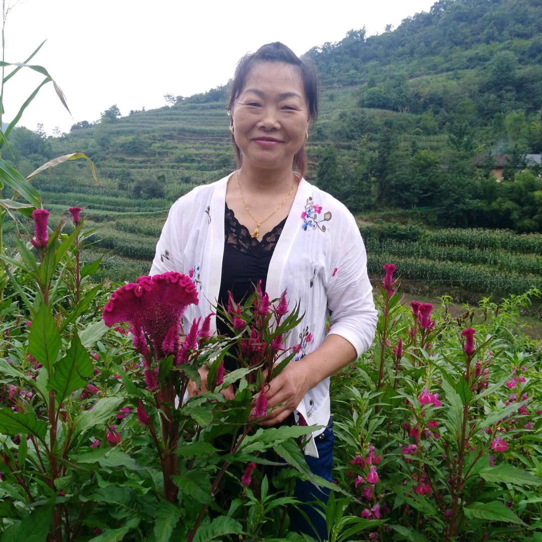 大山的姑娘