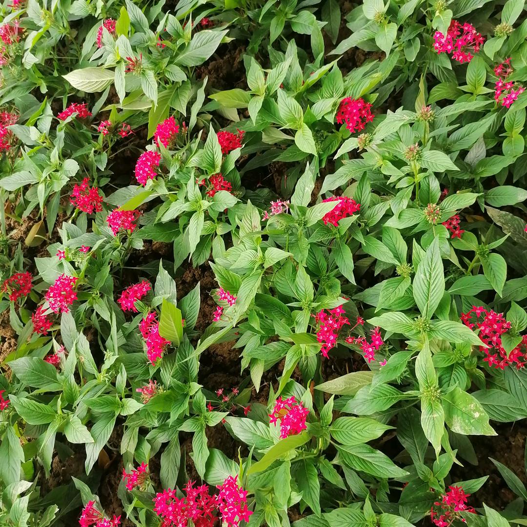 快乐女声85694123 6