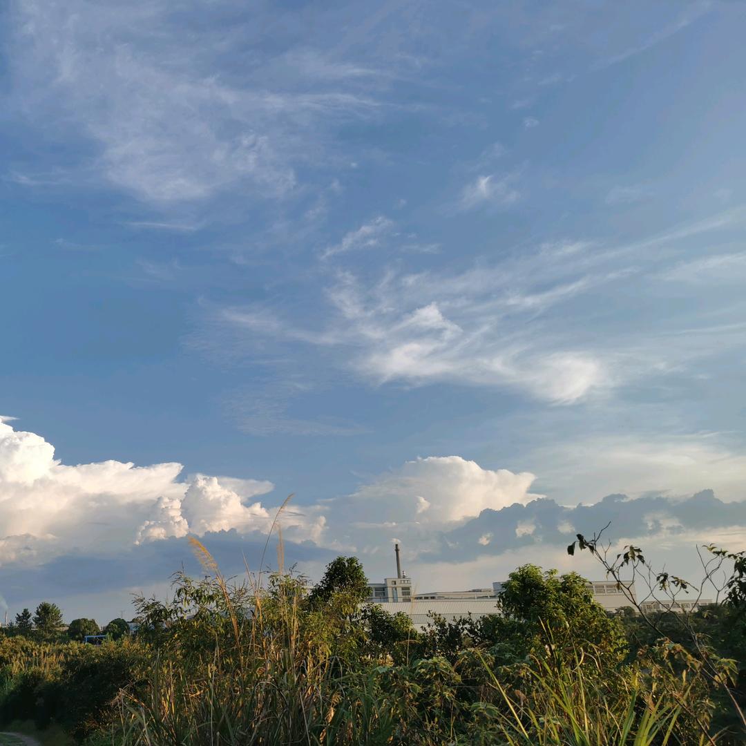顺丰顺水顺财神