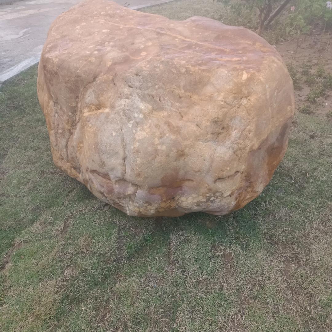 （信仰）全直播业务