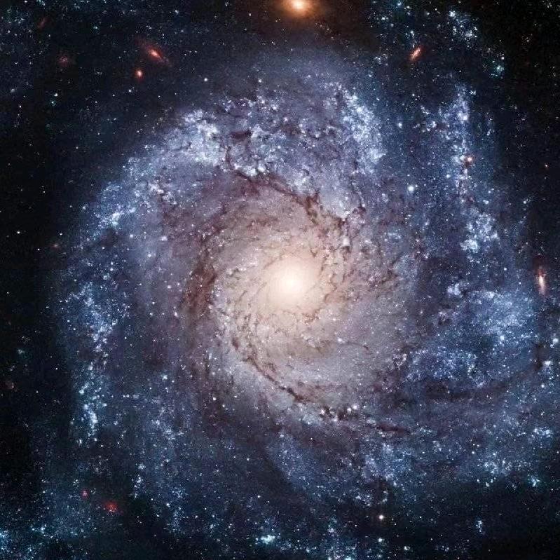 曾繁华大道（三角洲行动）