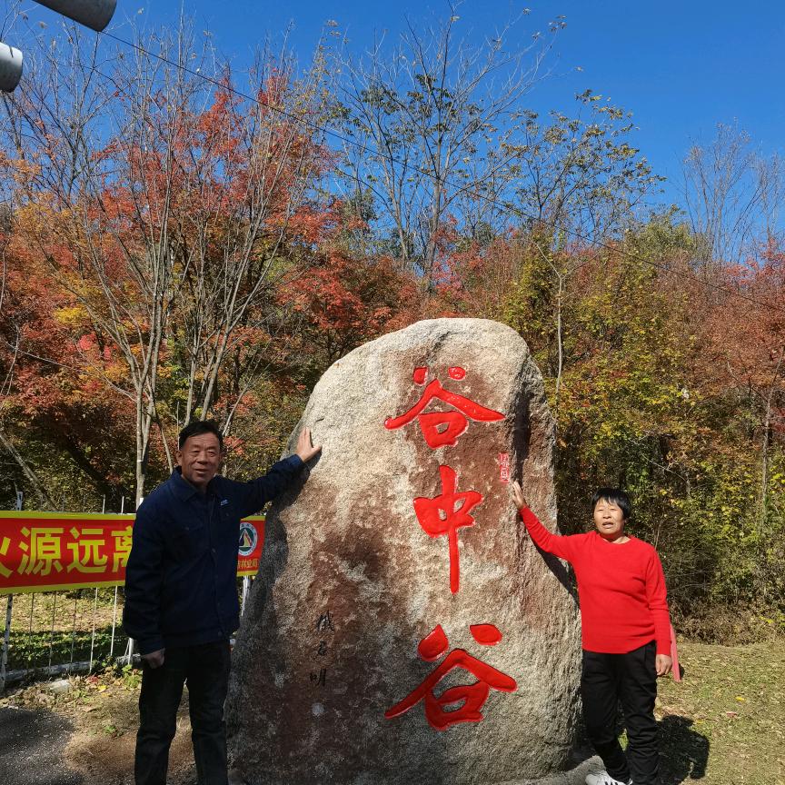 水果杜哥