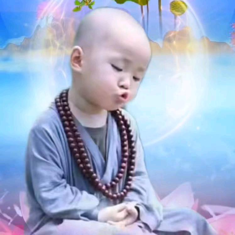 佛缘🙏🙏🙏🙏🙏🙏🙏