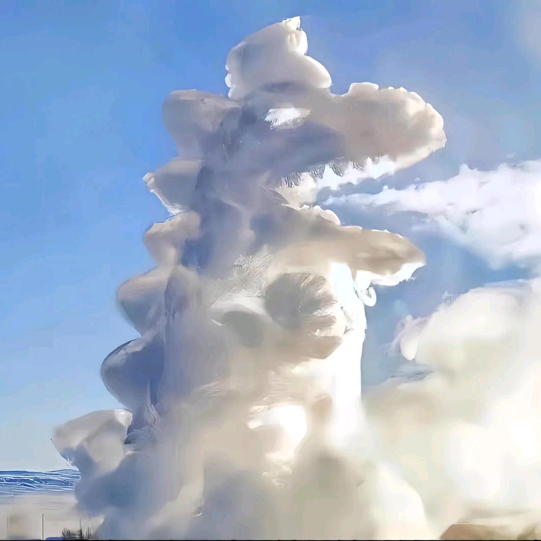 青楓