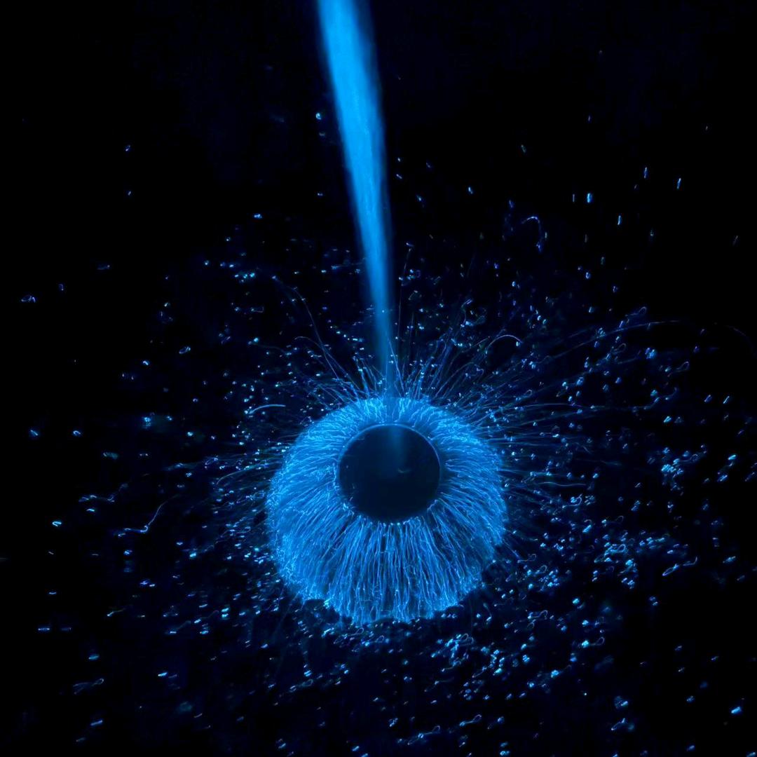 荧光海领队-云晨