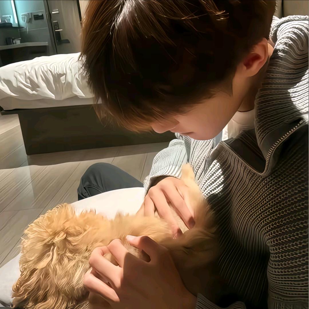 🍯蜂蜜小狗🐕