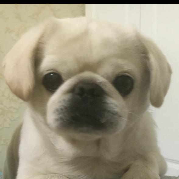 熊姥
