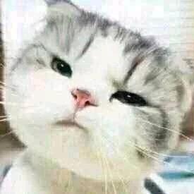 他日若遂凌云志，敢笑黄巢不丈夫。