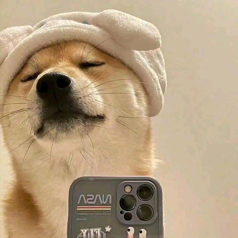 ☞蛋蛋☜