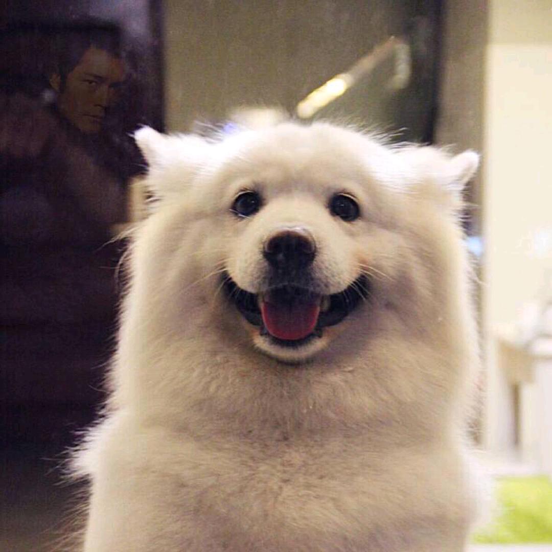 开心一笑