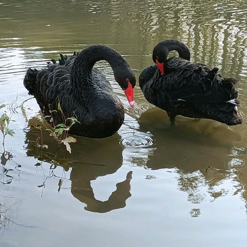 滋养~_LQ659（ABCDE)