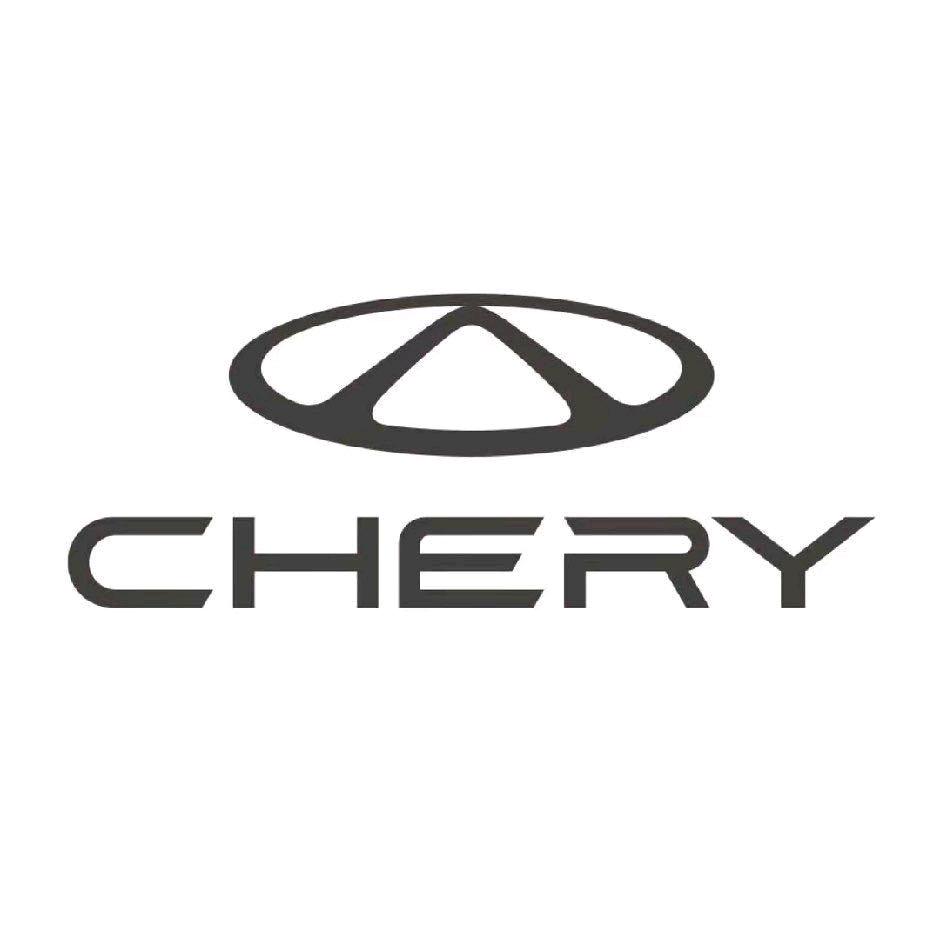 济南星晨奇瑞销售直播