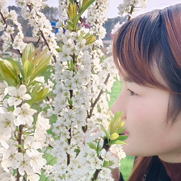 🌻遵义孙二妹🌻