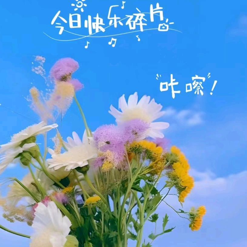 不忘初心🧚‍♀️