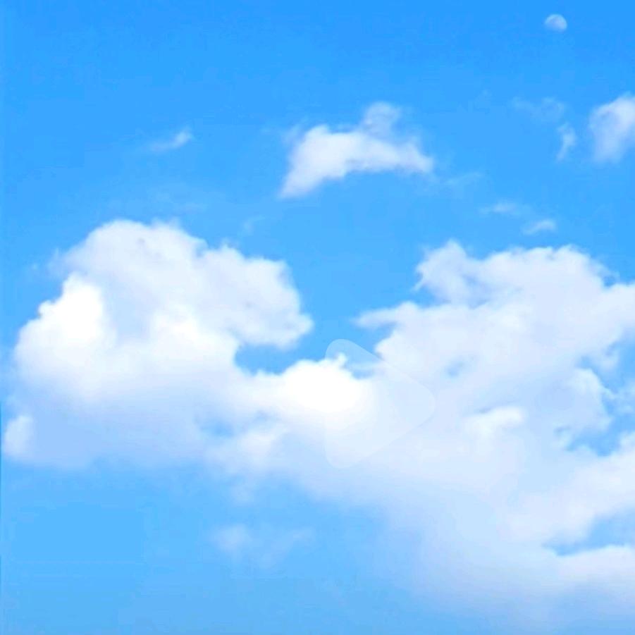 美丽果