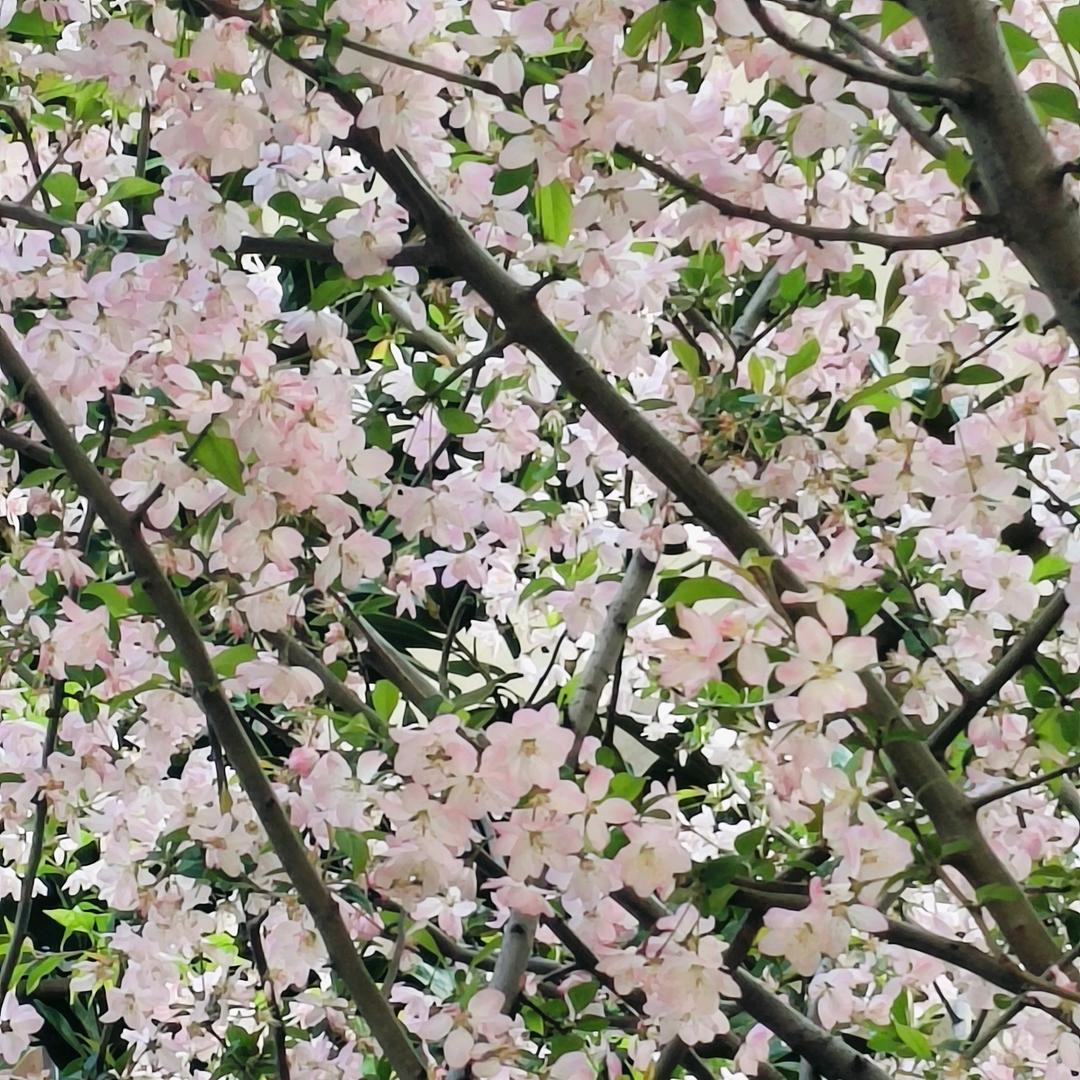 游戏我最菜