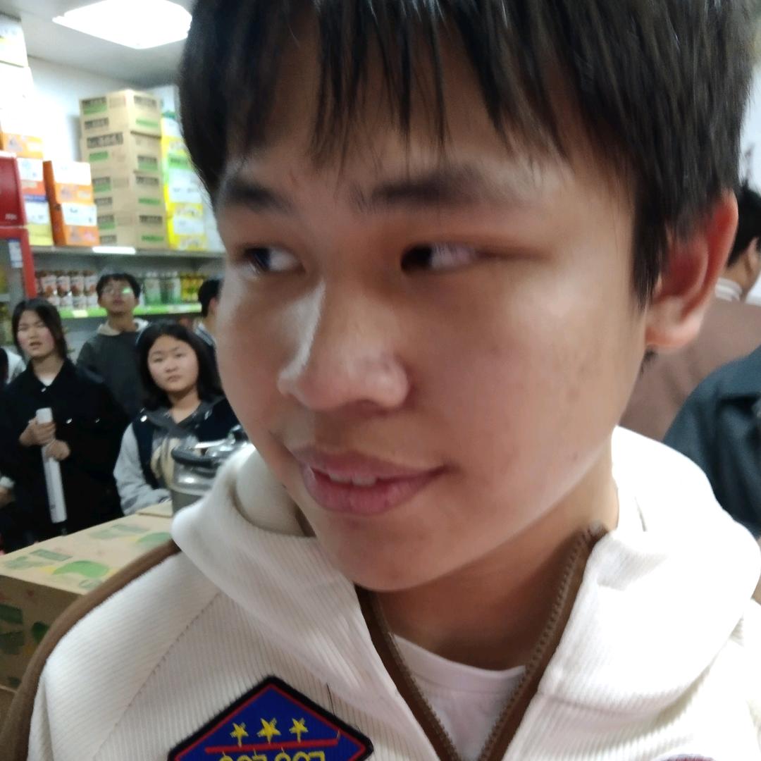 阳光下的向日葵