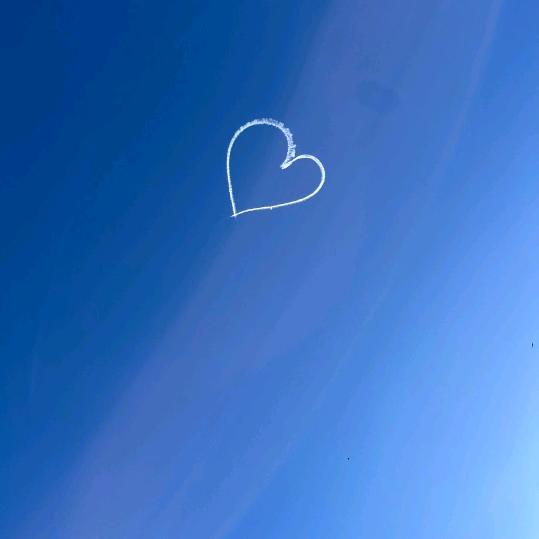 💰旺财小铃铛🔔IRon Man