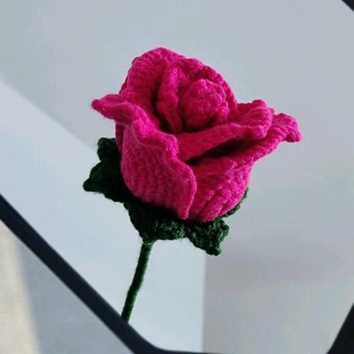 小琪琪