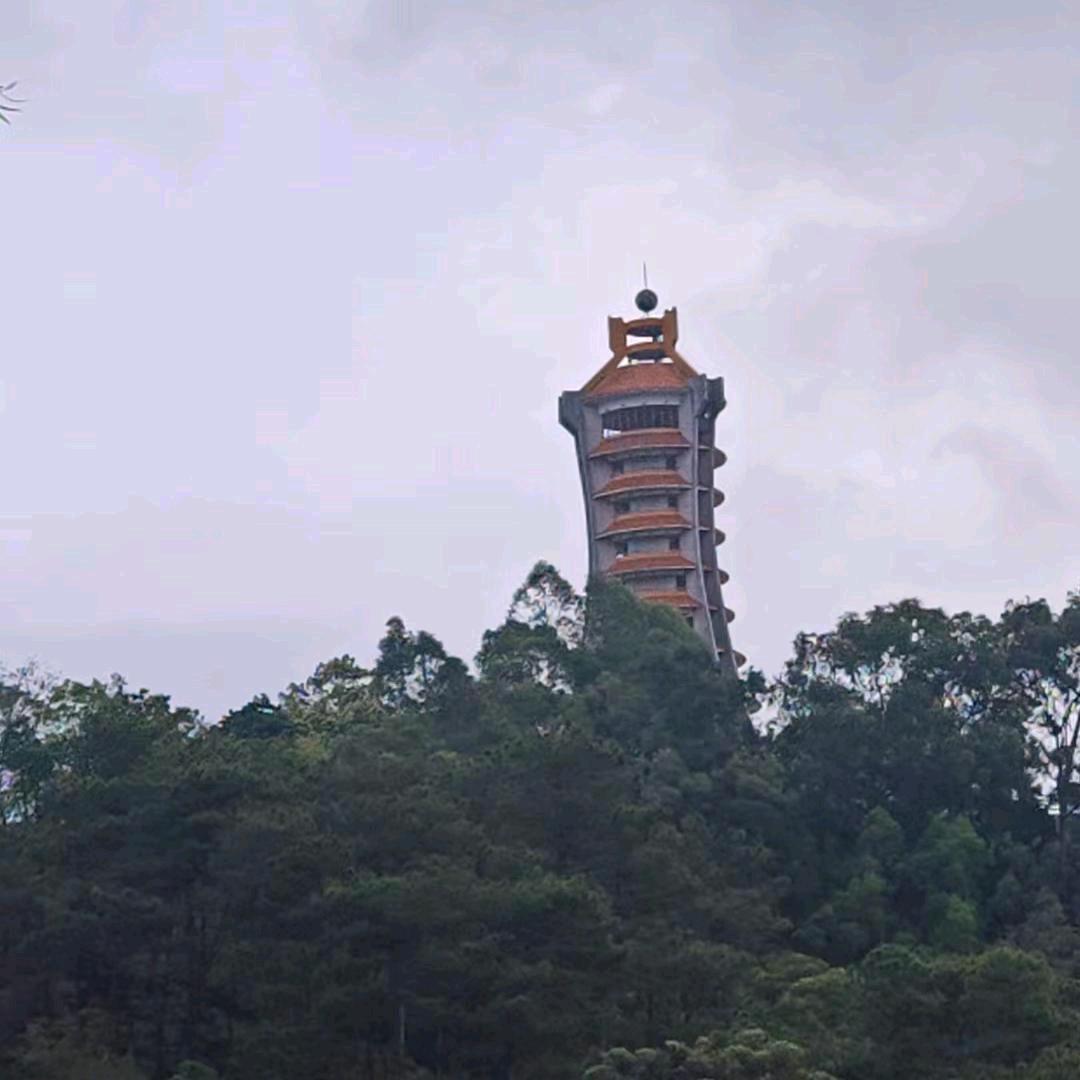 好运莲莲