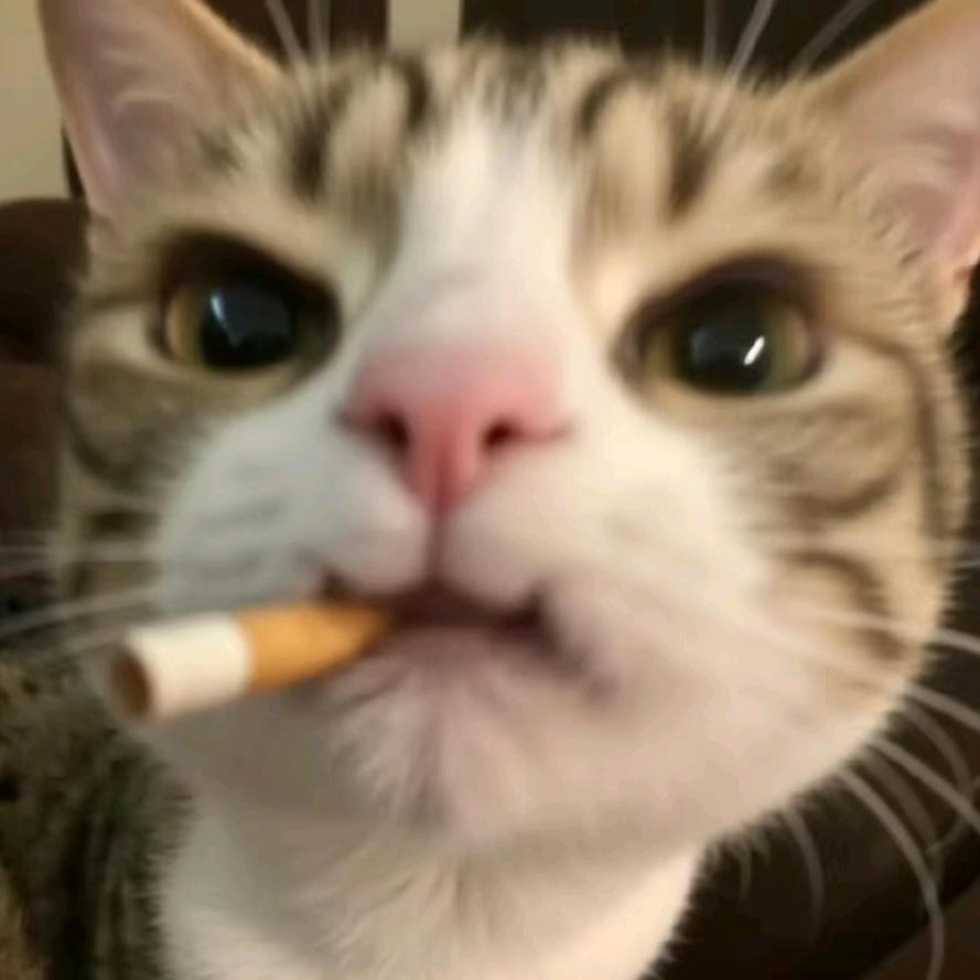 不知道