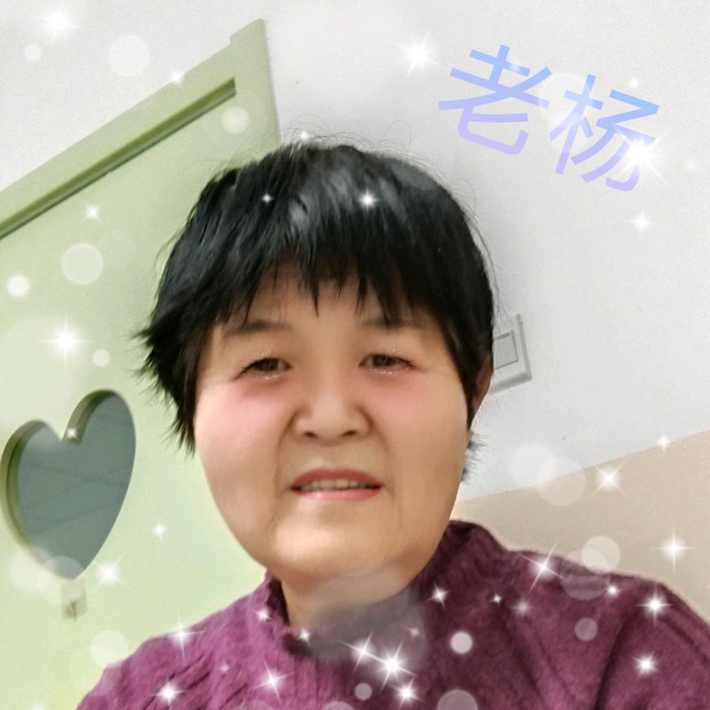 老杨1号