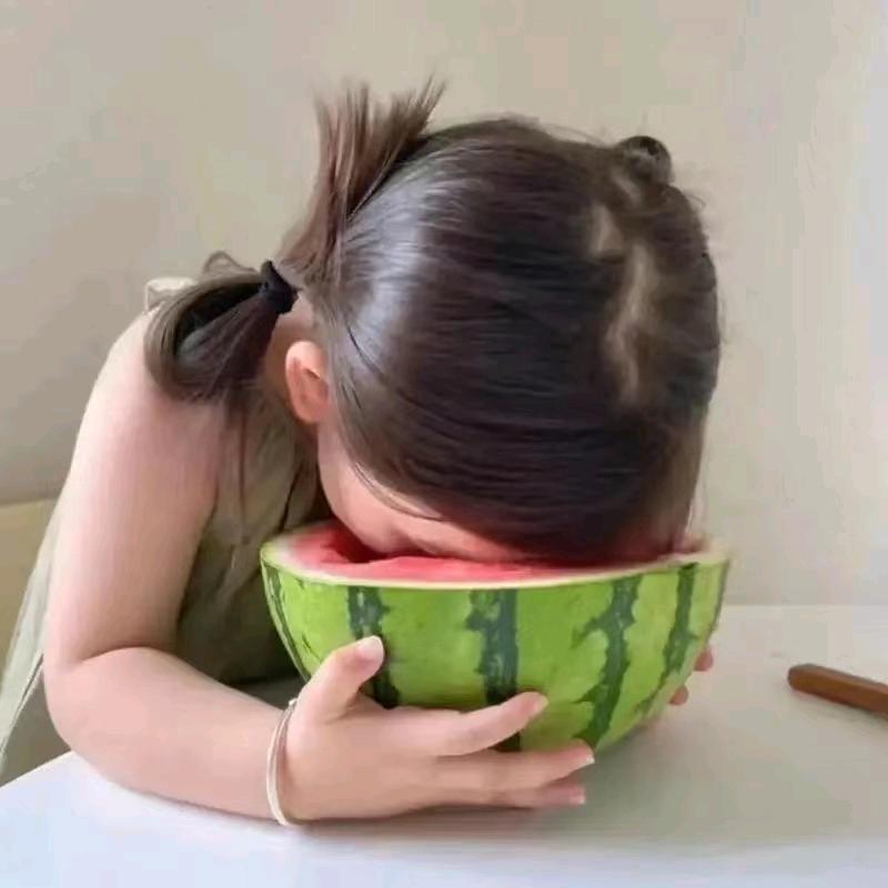 柒小宝