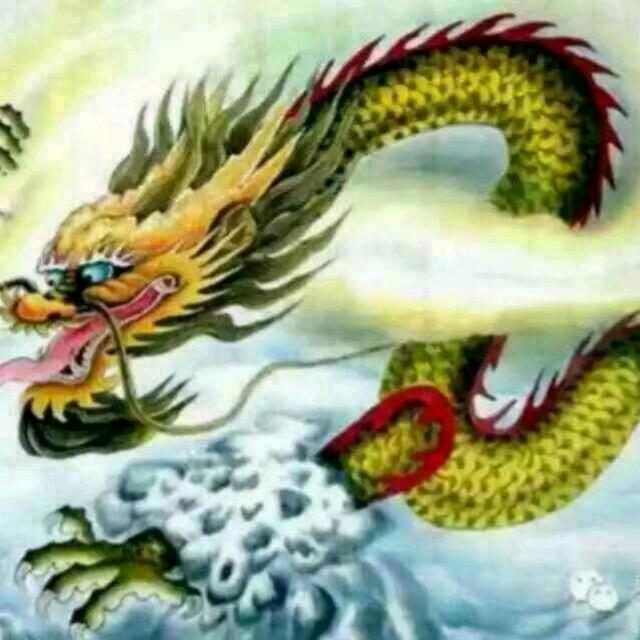 黄山金龙