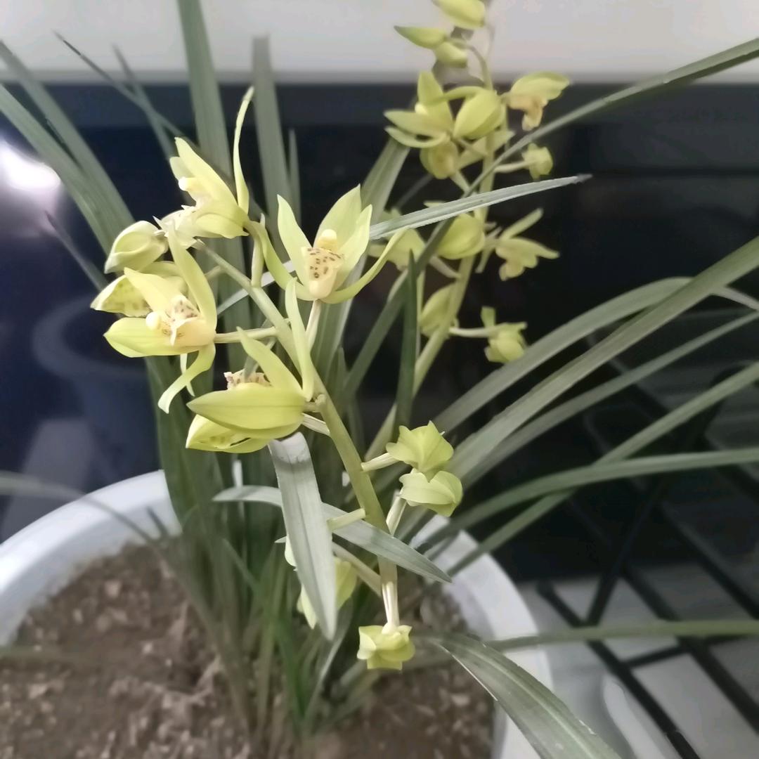 飞奔蓝天下